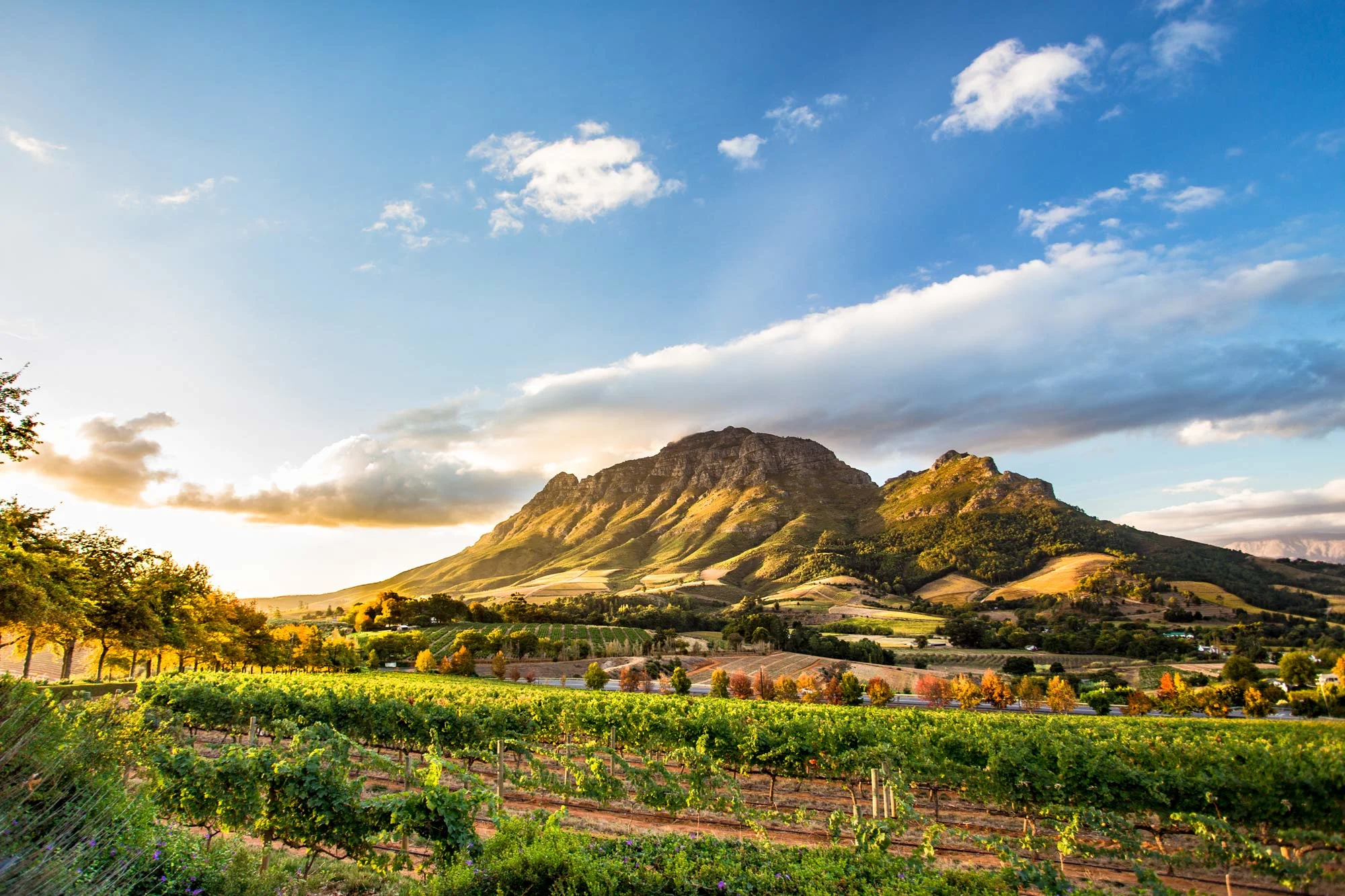 Winelands &amp; Beyond holidays