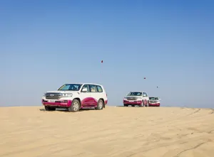 Discover the Desert & Inland Sea