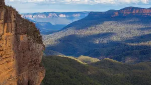 Rocks to Rainforest 4WD Eco Tour