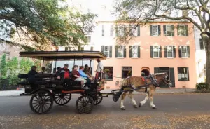 Old South Charleston Carriage Tour