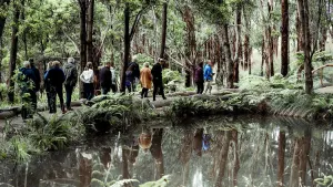 Dusk Discovery Wildlife Tour