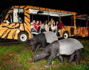 Night safari with dinner