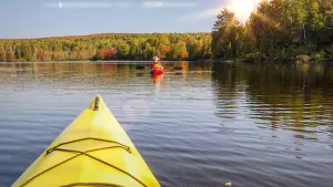 Algonquin Park Guided Paddle Day Trip