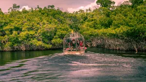 Everglades Safari Tour