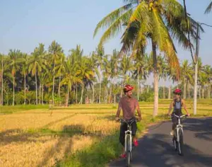 Eco Cycling Bali