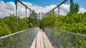 Scenic Caves Park Entry &amp; Suspension Bridge