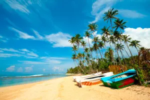 East Coast Beaches