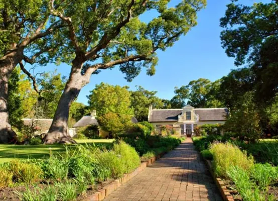 Cape Town, Winelands & Kruger Family Offer