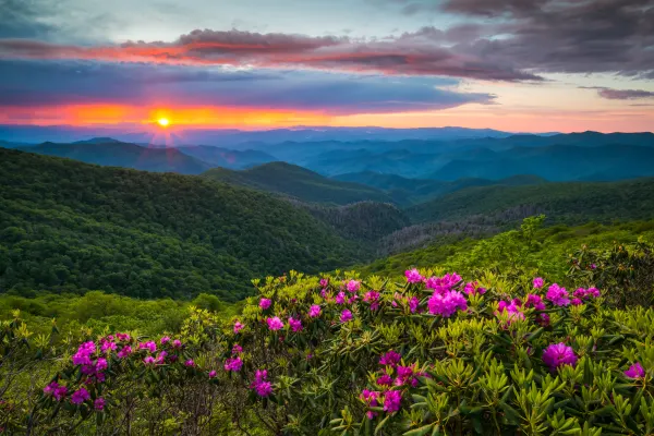 North & South Carolina