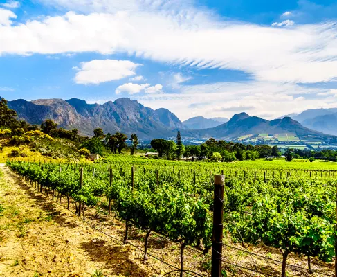 Winelands &amp; Beyond holidays