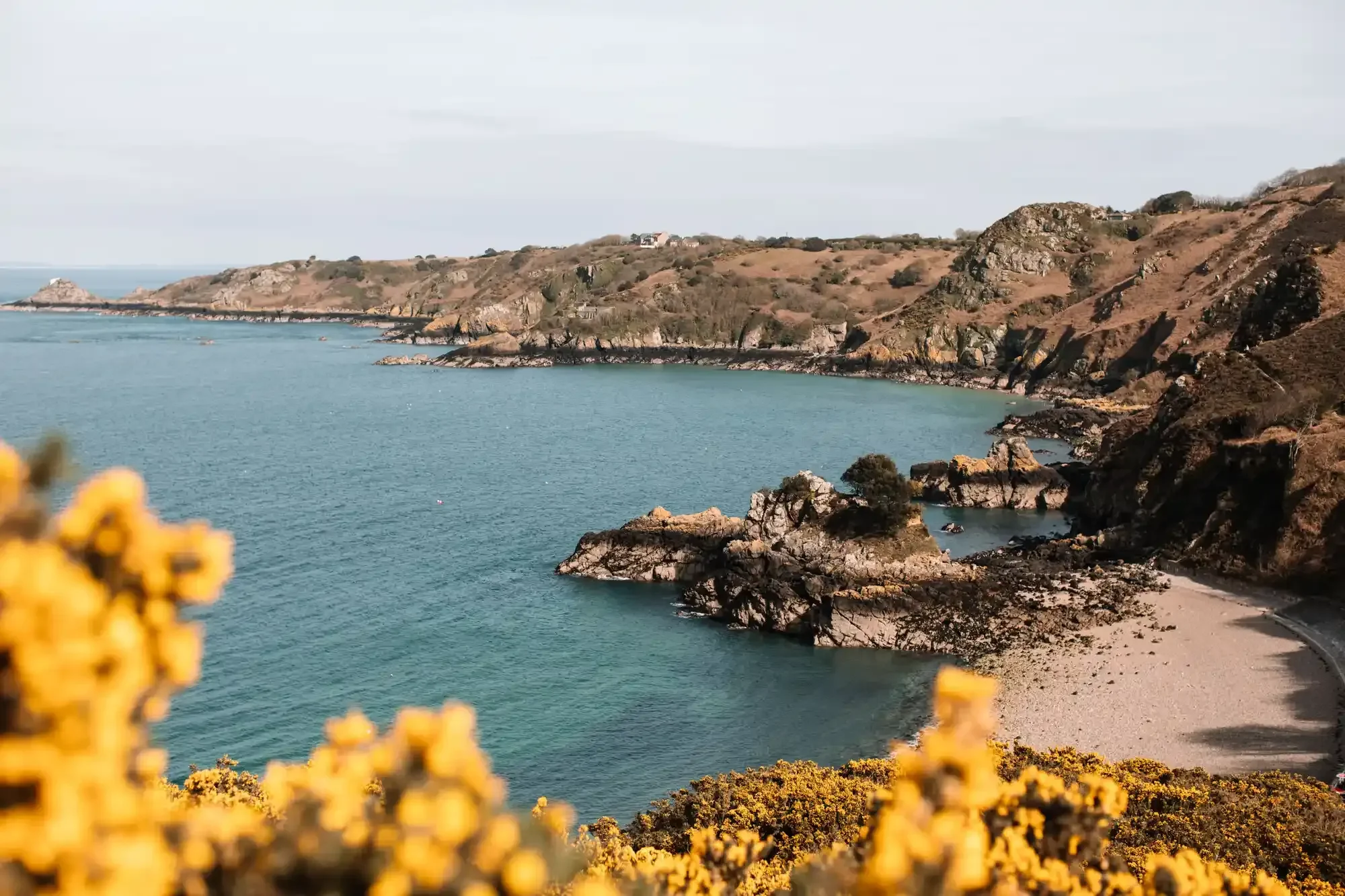 Spring in Jersey