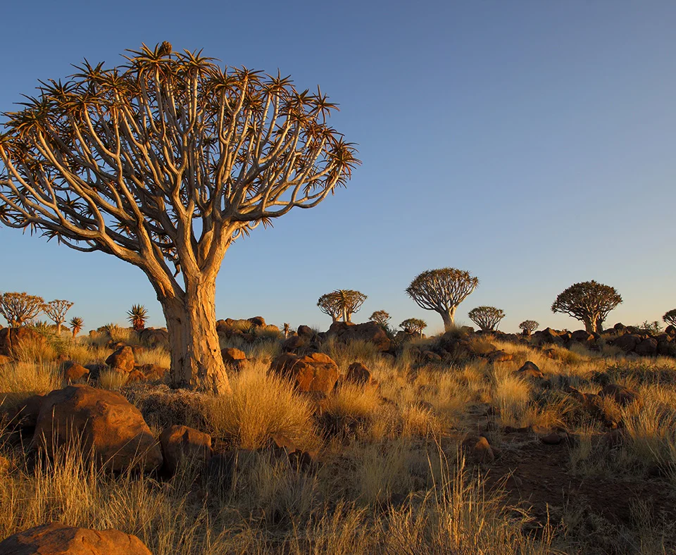 Namibia holidays