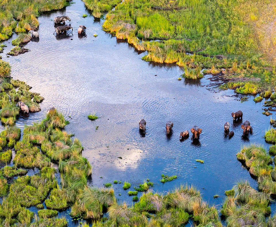 Botswana holidays
