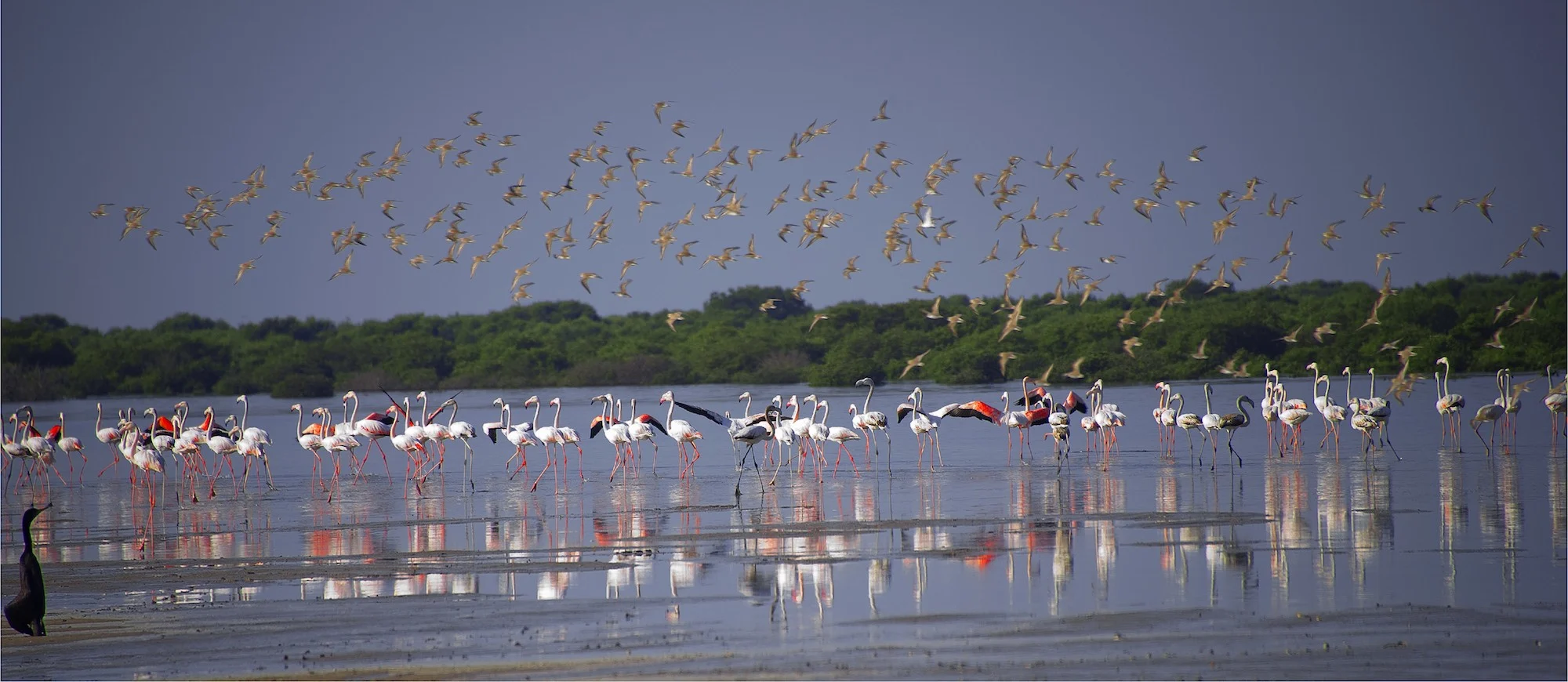 Ajman holidays