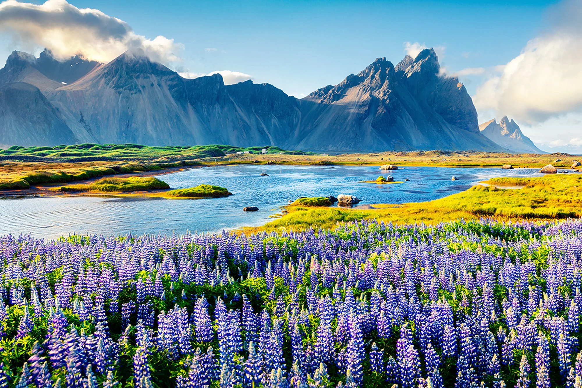 New Zealand holidays