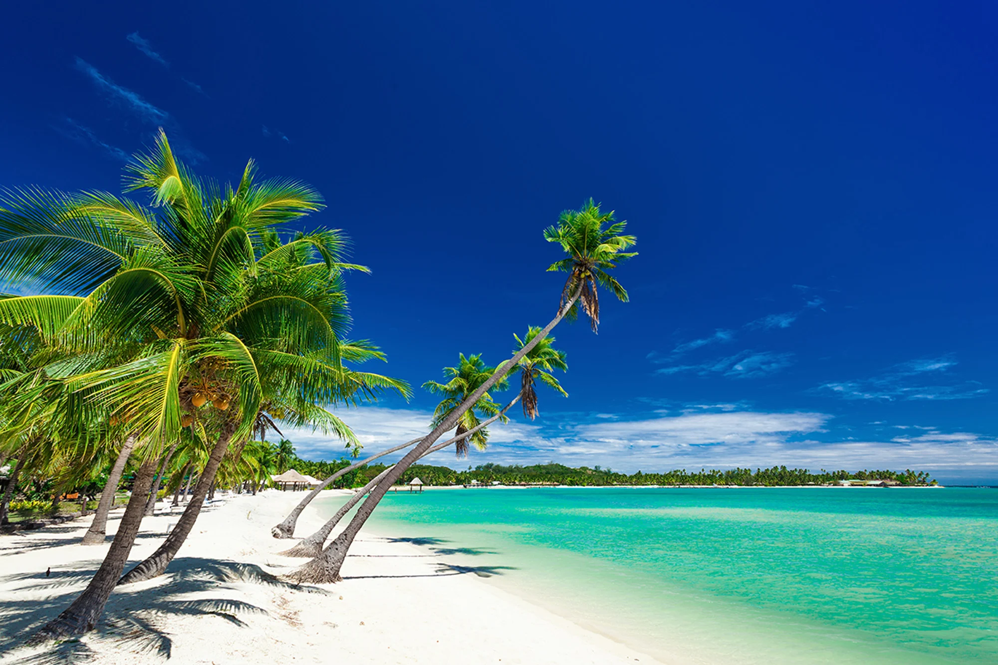  South Pacific holidays