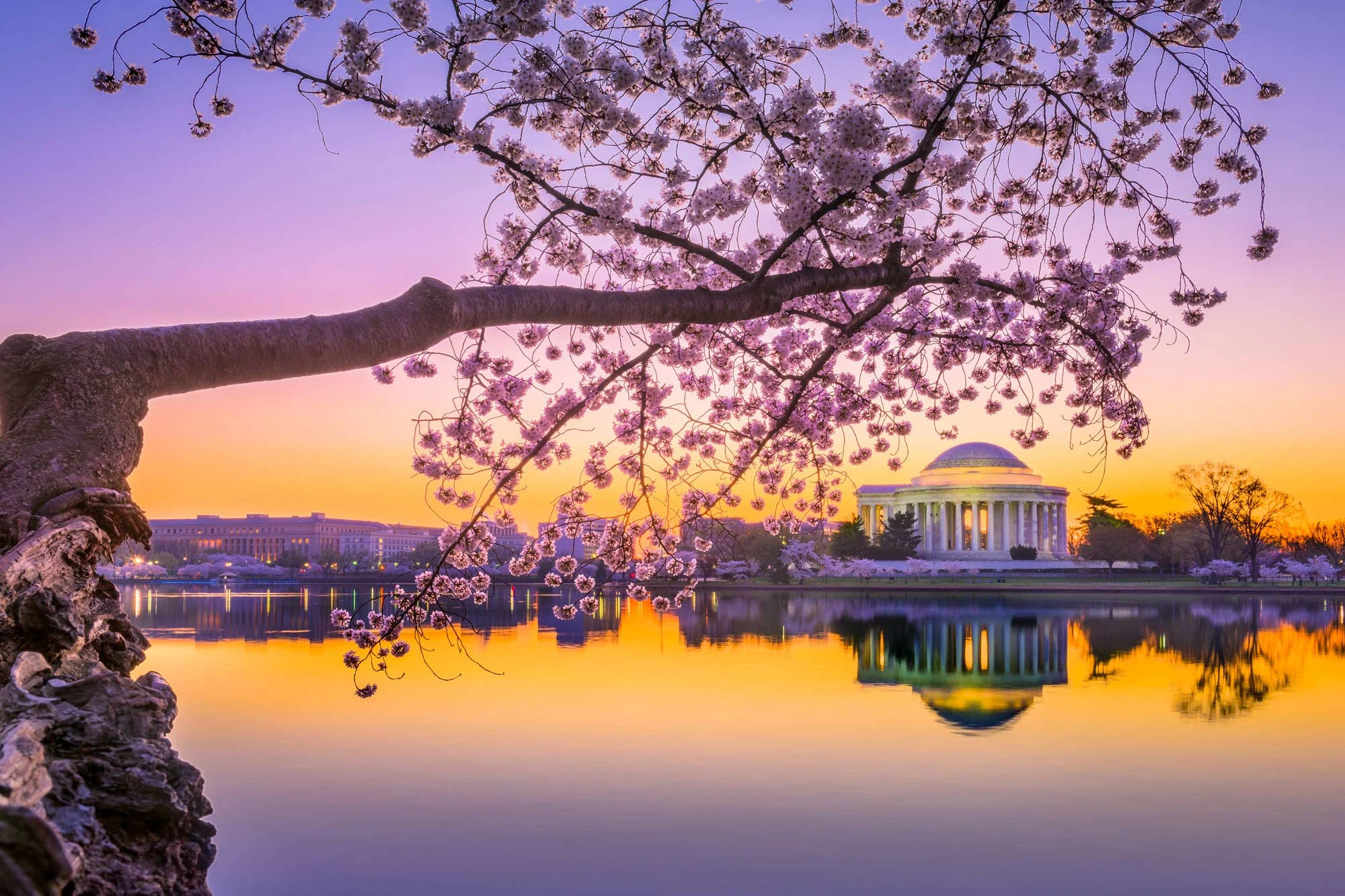 USA holidays