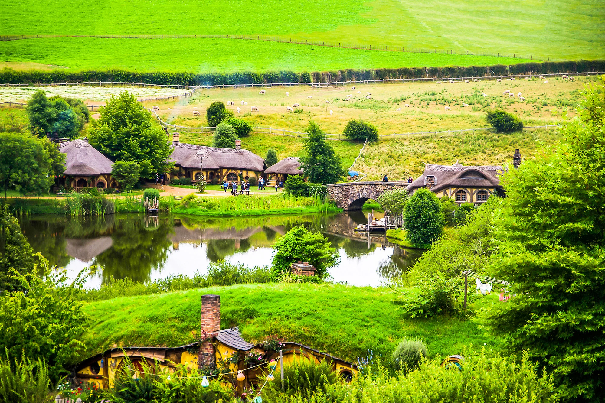 New Zealand holidays