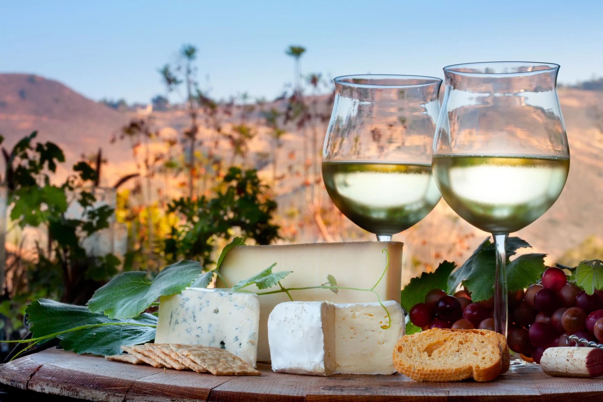 California Wine Country holidays