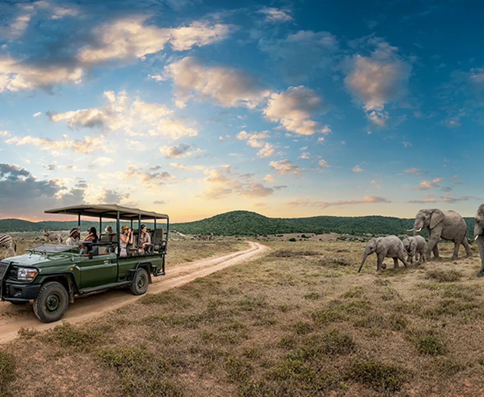 Eastern Cape Game Reserves holidays