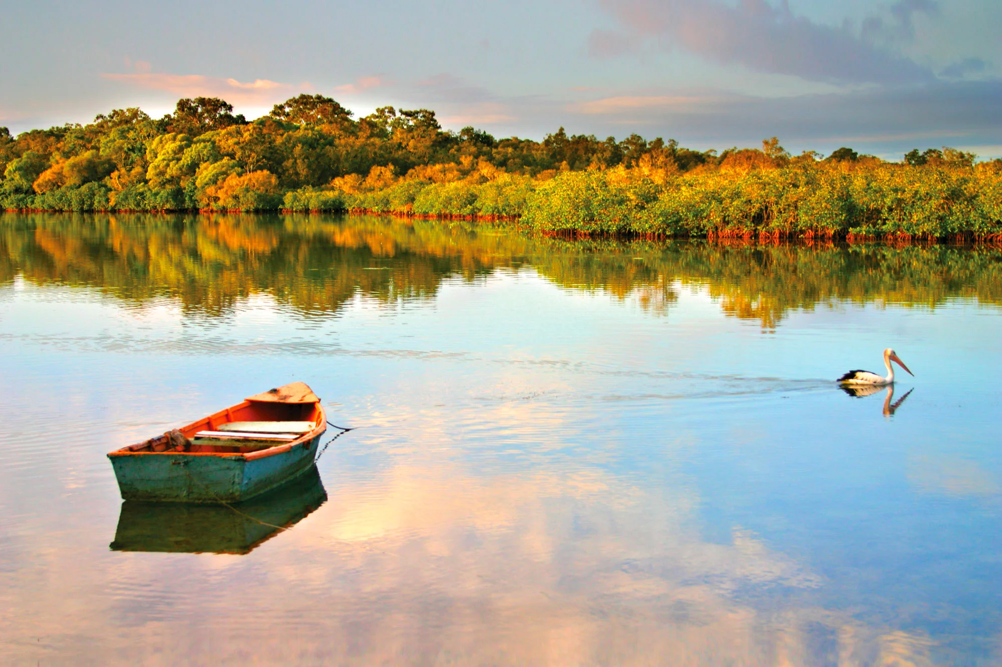 Sunshine Coast holidays