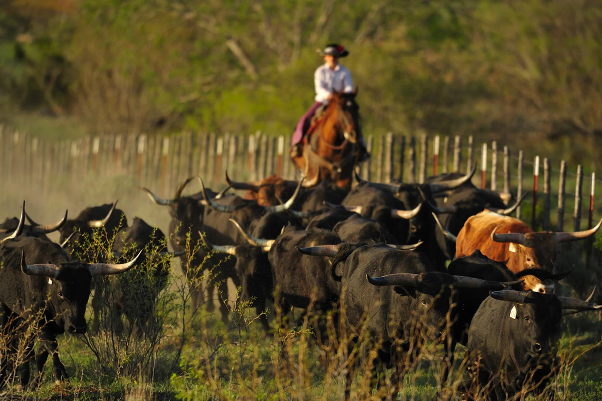 Ranches holidays