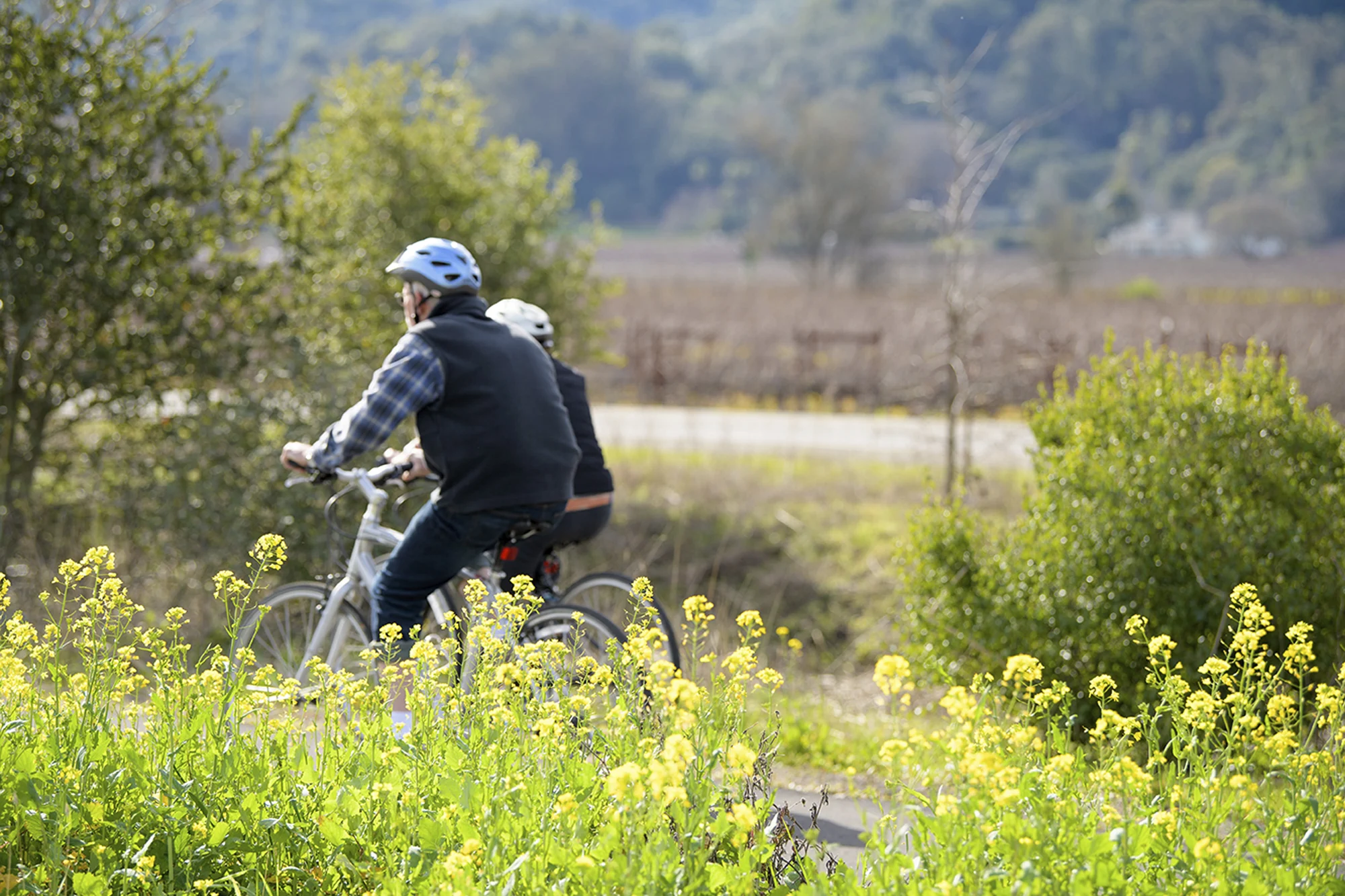 California Wine Country holidays