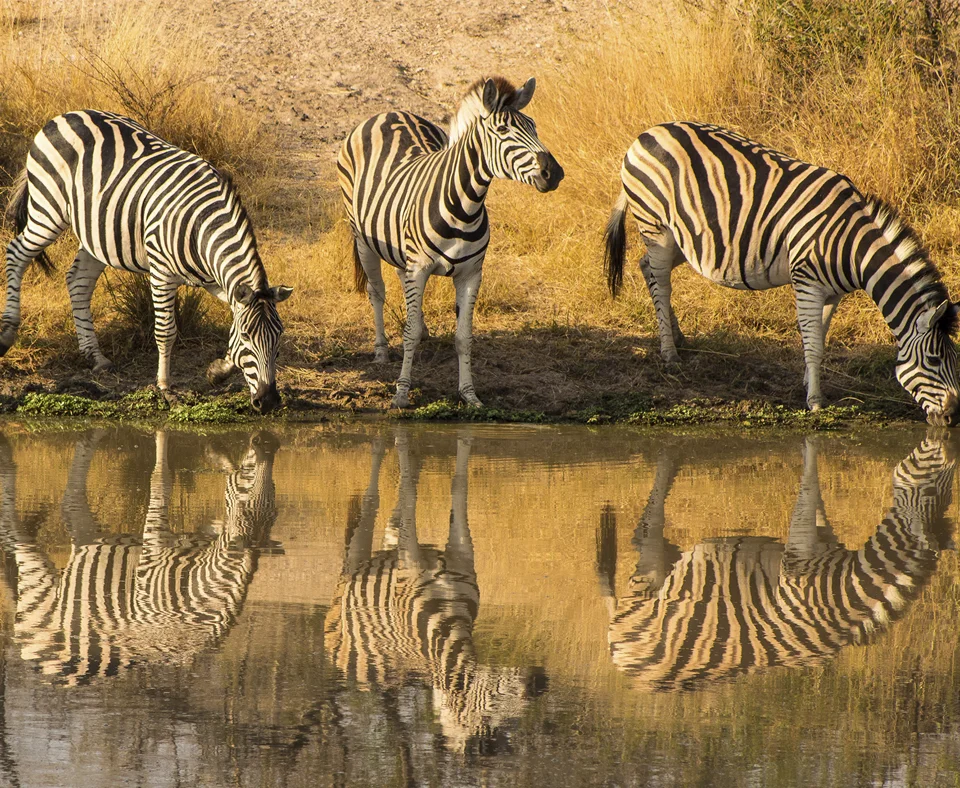 Kruger Region holidays