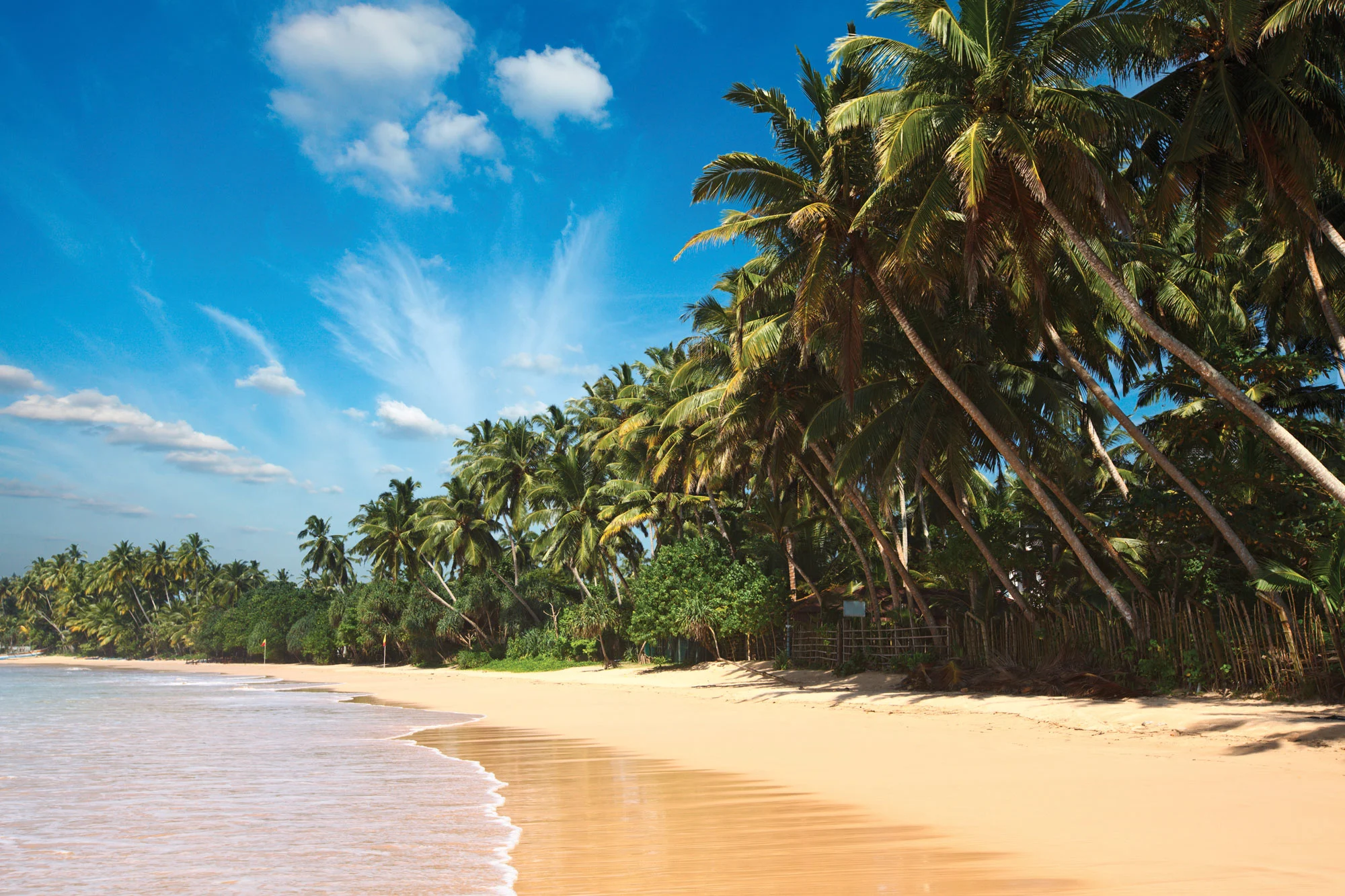 Galle, Koggala, Mirissa &amp; South Coast Beaches holidays