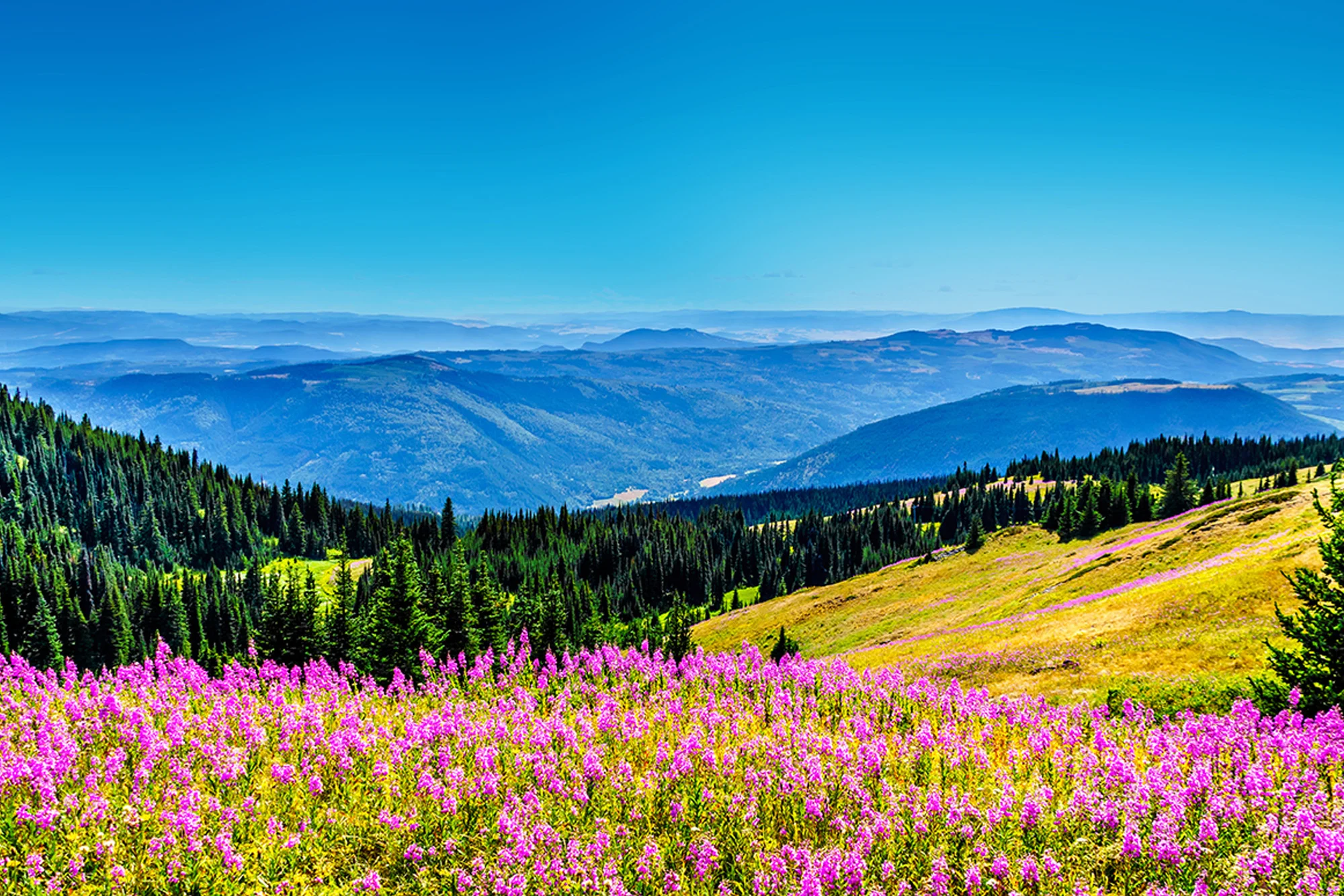Rest of British Columbia holidays