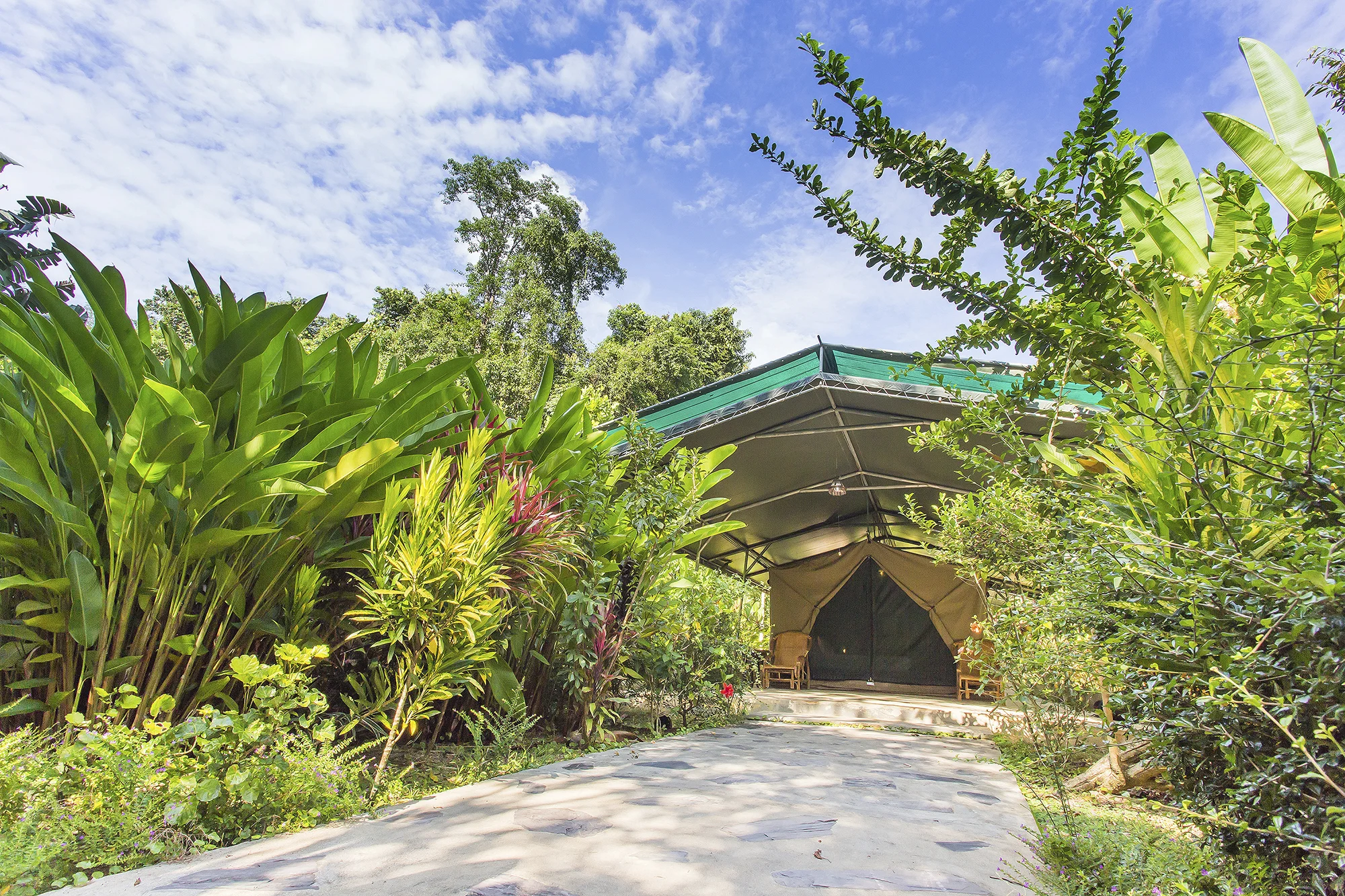 Elephant Hills Jungle Safari 