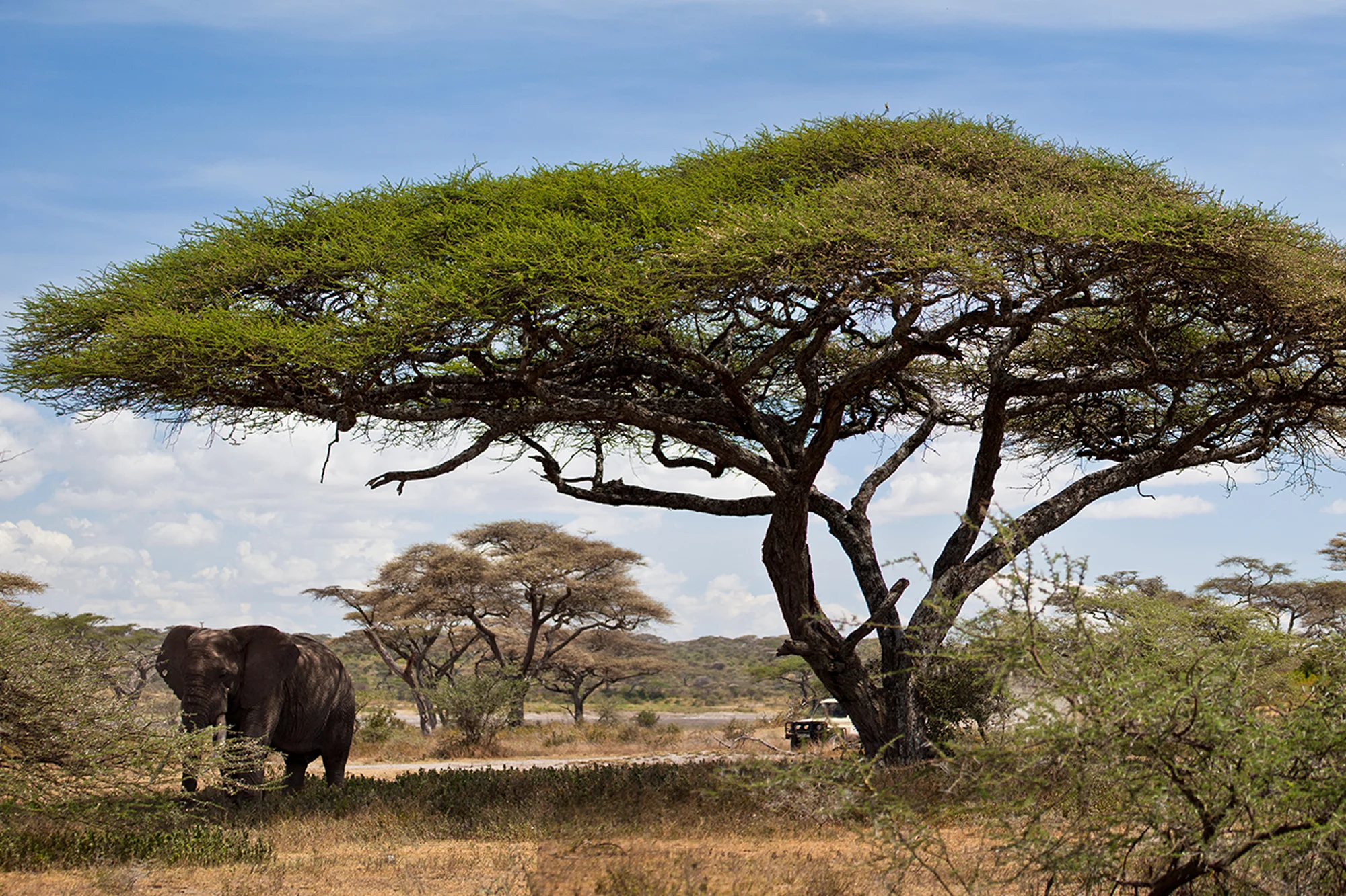 Highlights of Tanzania 