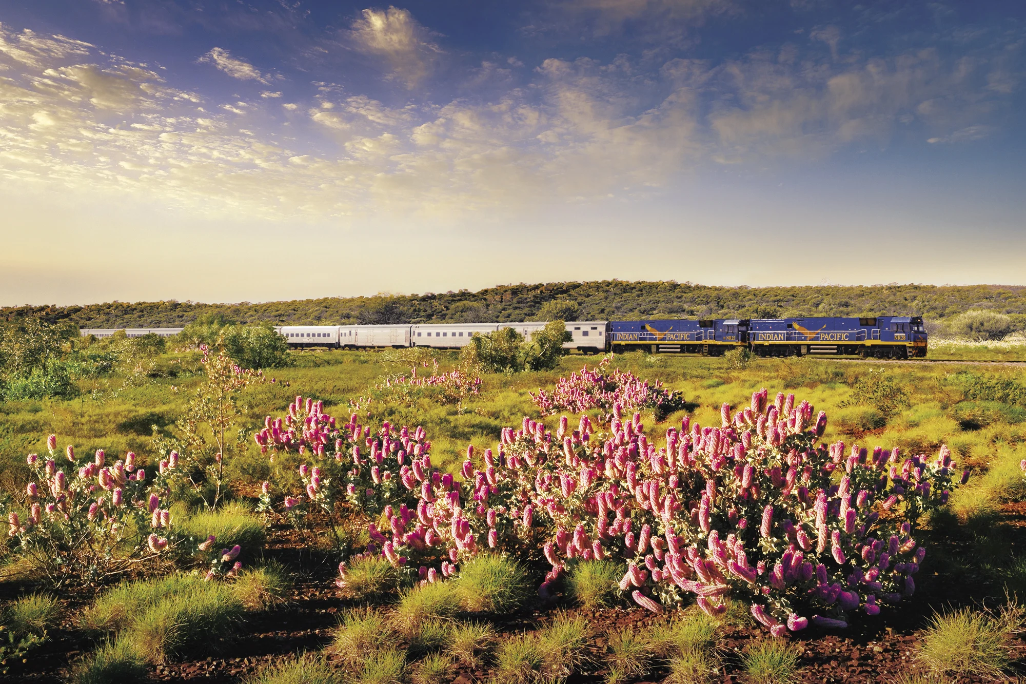 Rail to the Whitsundays 