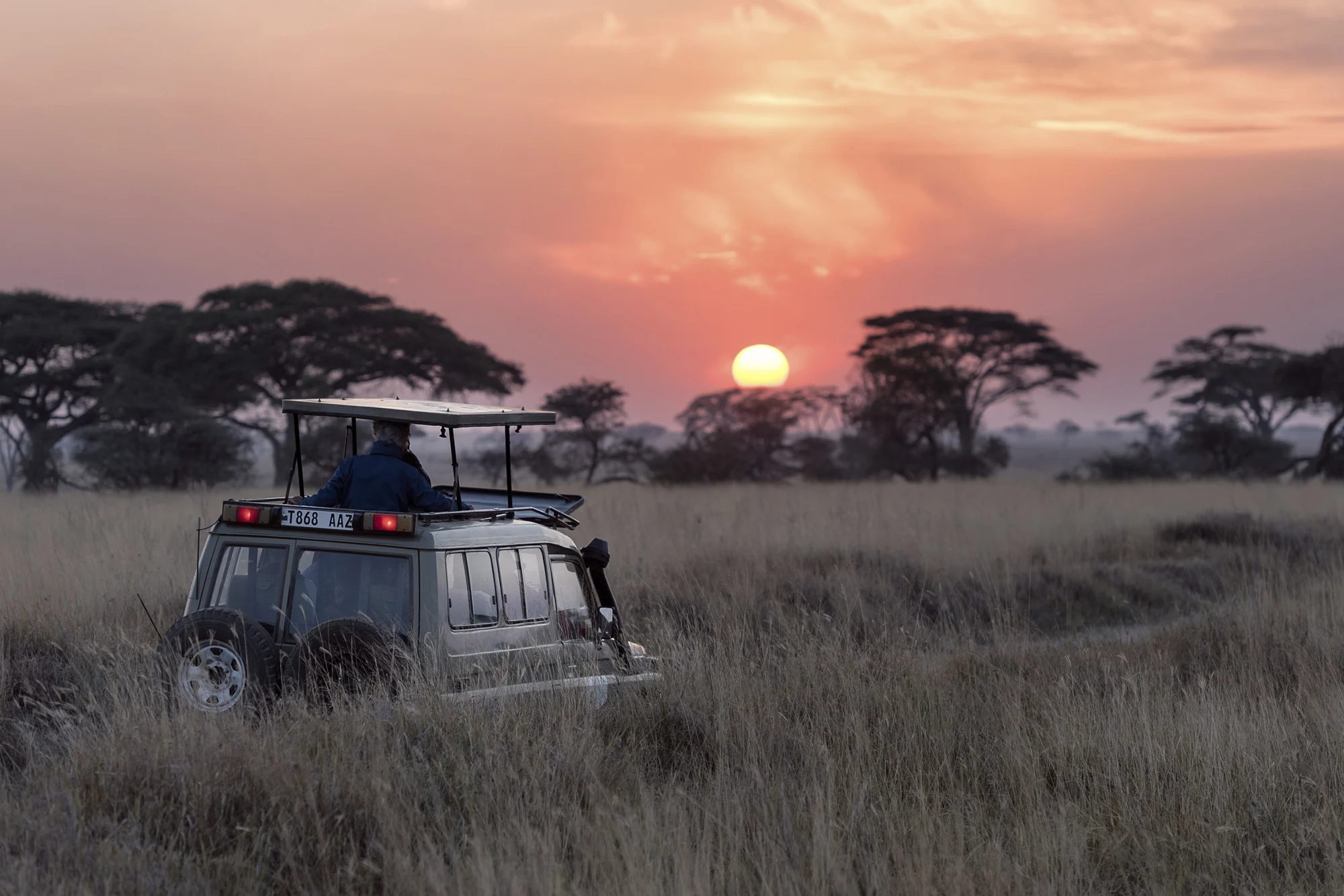 Highlights of Tanzania 