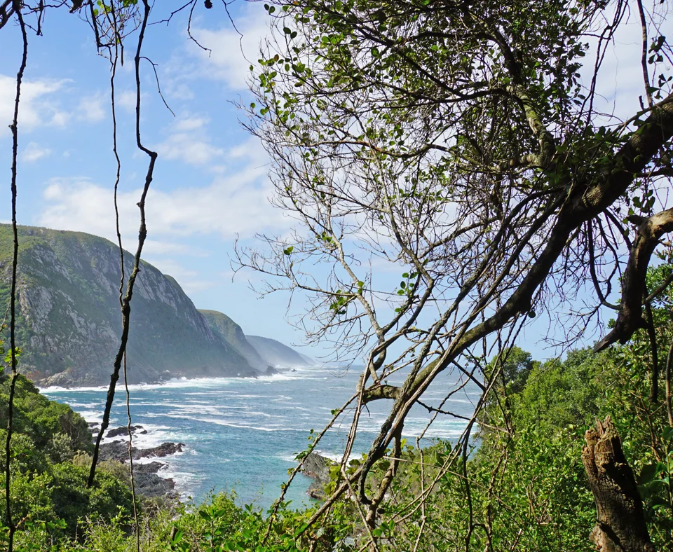 Garden Route Splendour Tour 