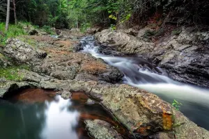Mt Tamborine Wine Tour