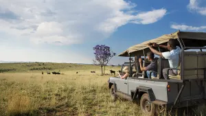 A Day Safari