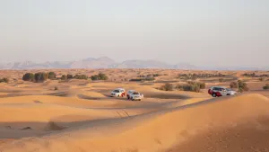 Desert Safari Experience