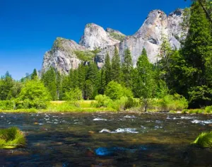 Yosemite National Park 