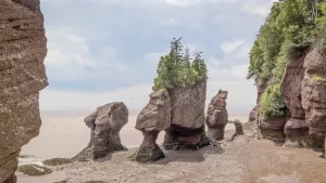 Hopewell Rocks Admission &amp; Guided Tour