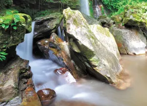 Kinabalu Park & Poring Sabah