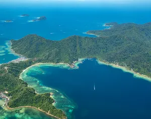 Island Jungle Walk Sabah