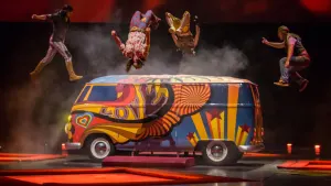 Cirque du Soleil Ticket