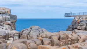 The Gap & Natural Wonders