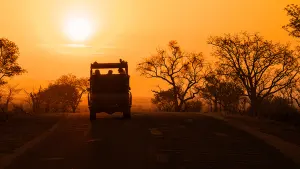 Kruger Sunset Safari