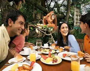 Morning at the Zoo