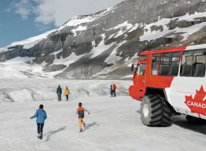 Icefields Parkway Discovery Tour