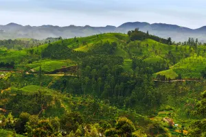 Nuwara Eliya &amp; Ella