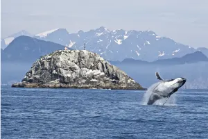 Alaska, Yukon &amp; Manitoba
