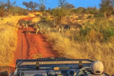 Luxury Cape Town, Rovos Rail and Pilanesberg Safari